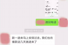 旌德遇到恶意拖欠？专业追讨公司帮您解决烦恼